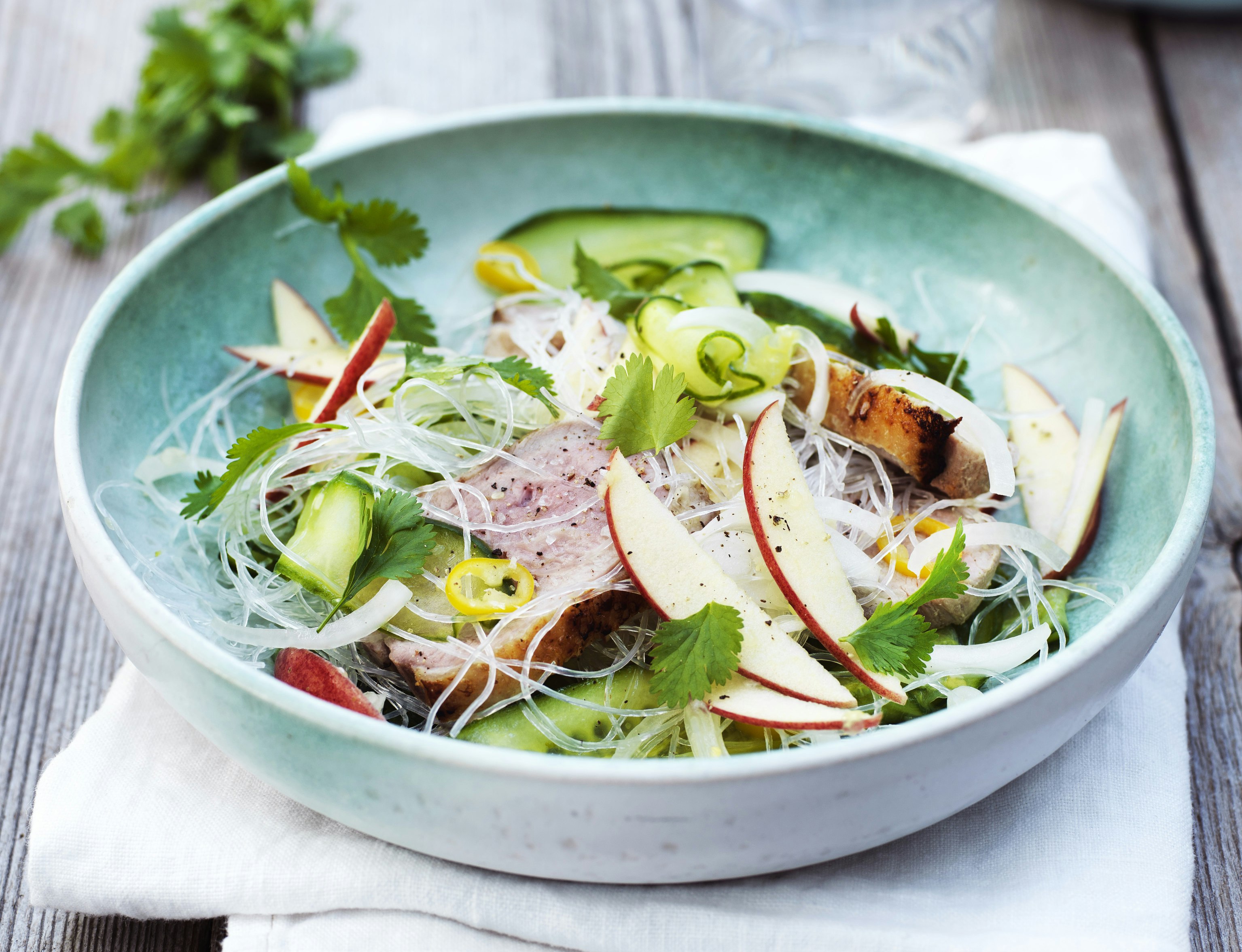 Andebryst med glasnudler og agurkesalat