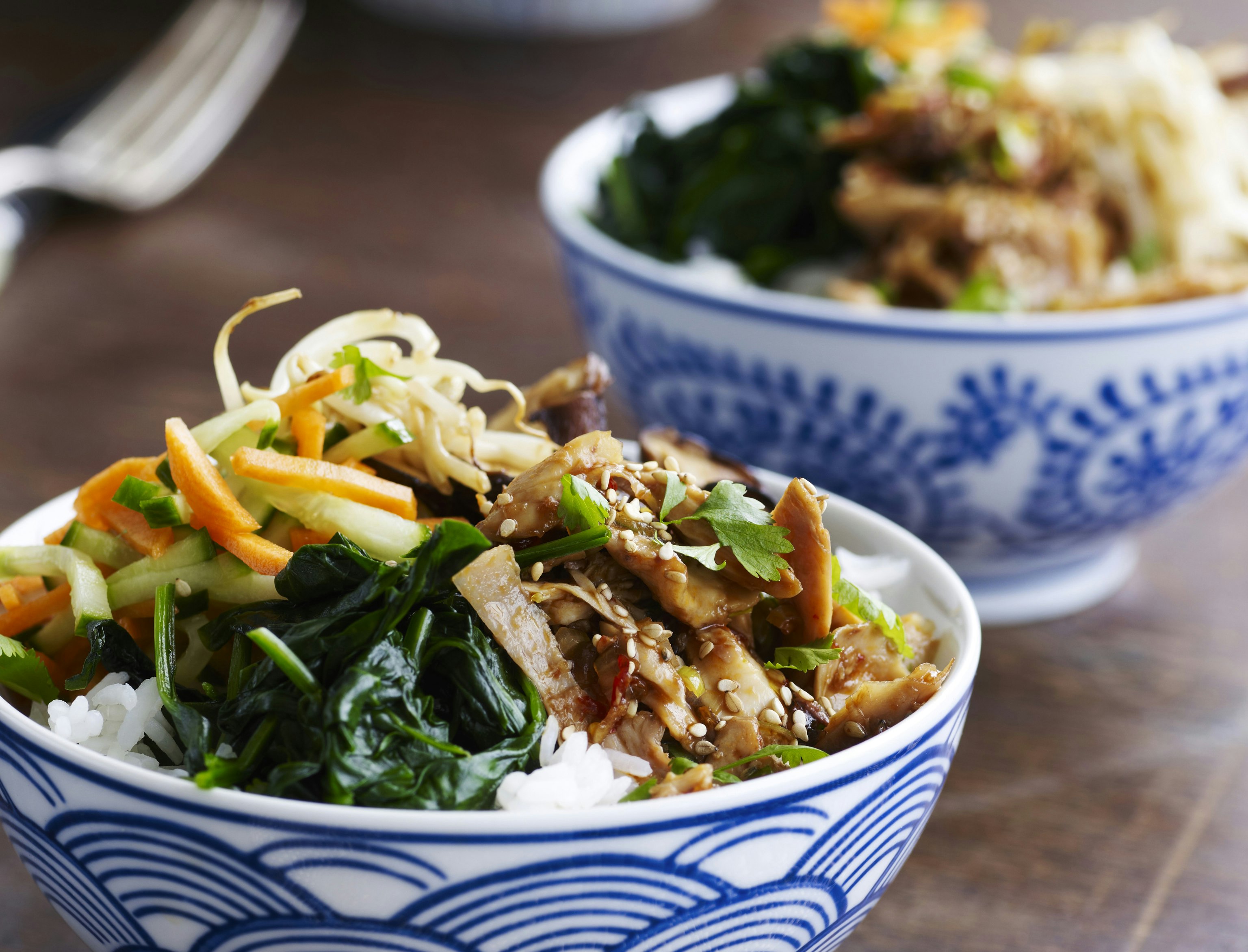 Bibimbap med stærk hønsesalat og grøntsager