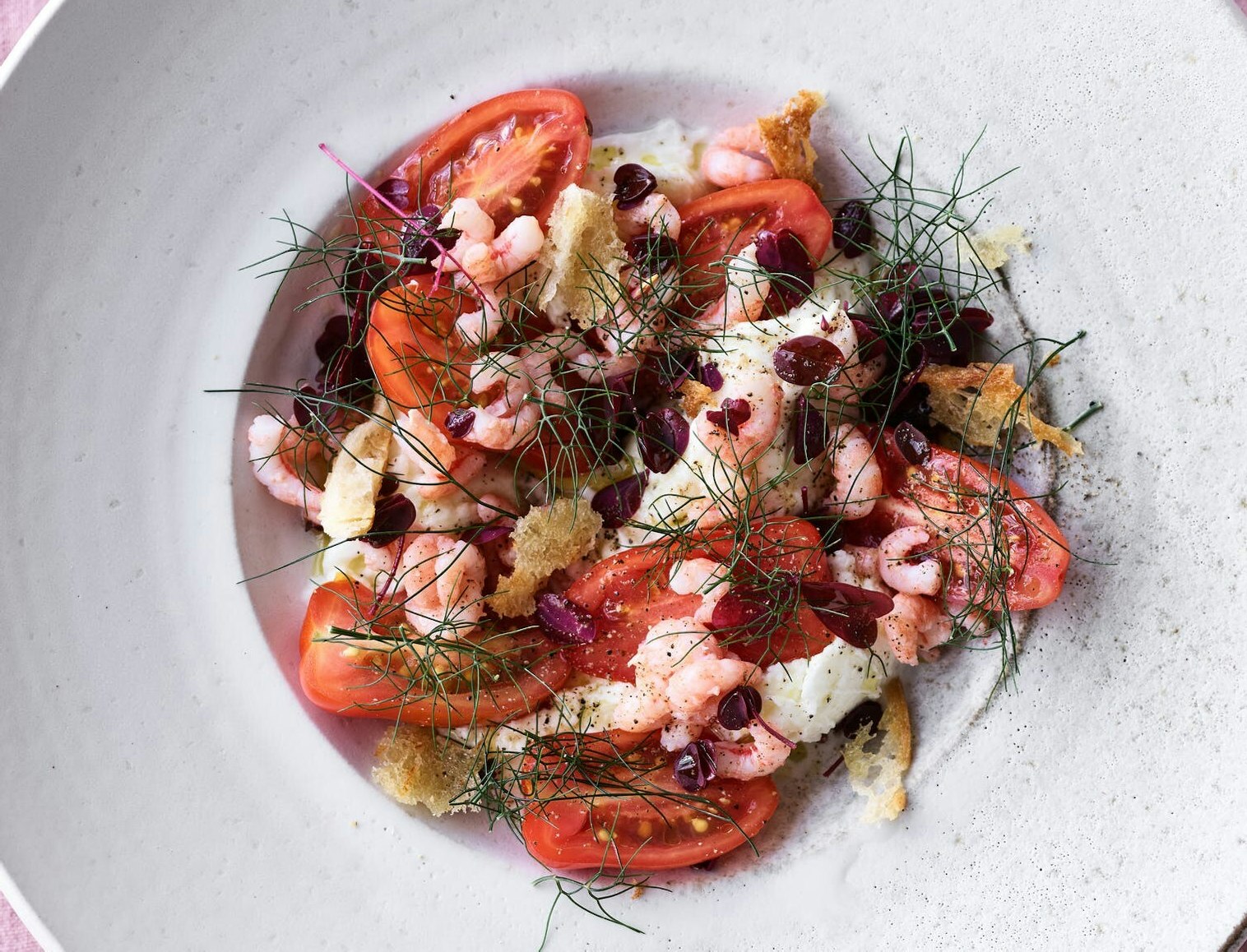 Fjordrejer med burrata og tomater