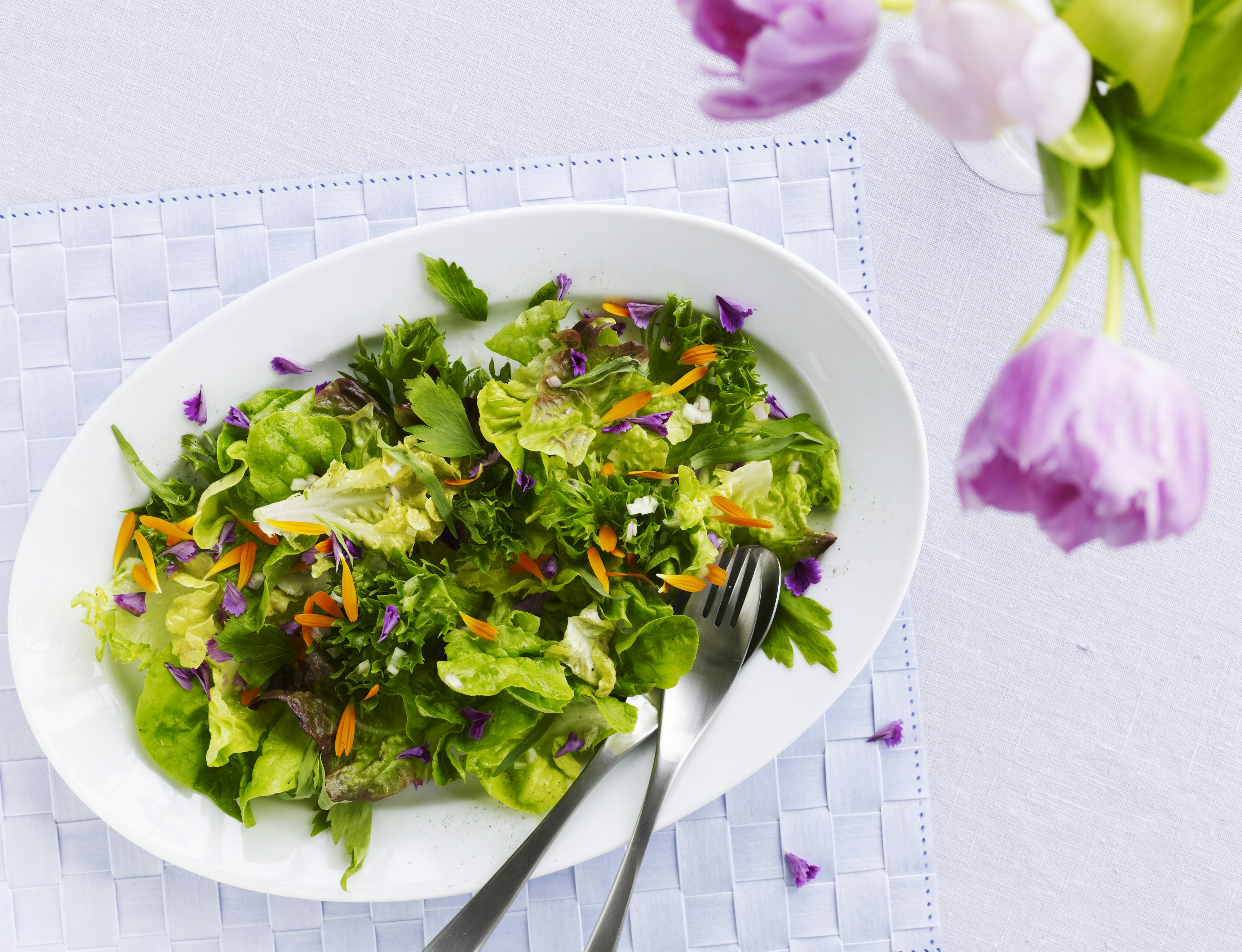 Grøn salat med krydderurter og olie-eddike-dressing