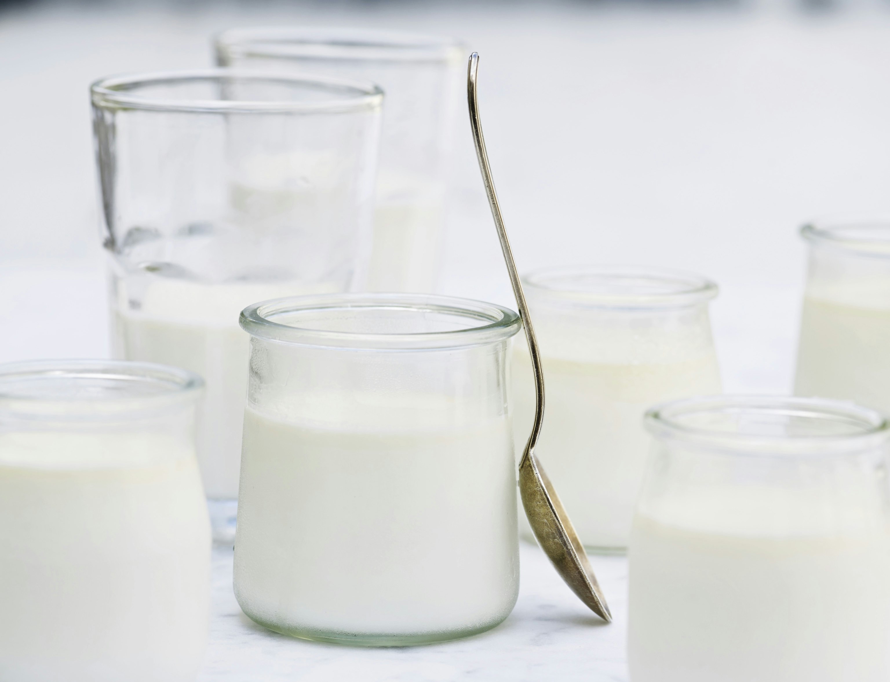 Grundopskrift på hjemmelavet yoghurt