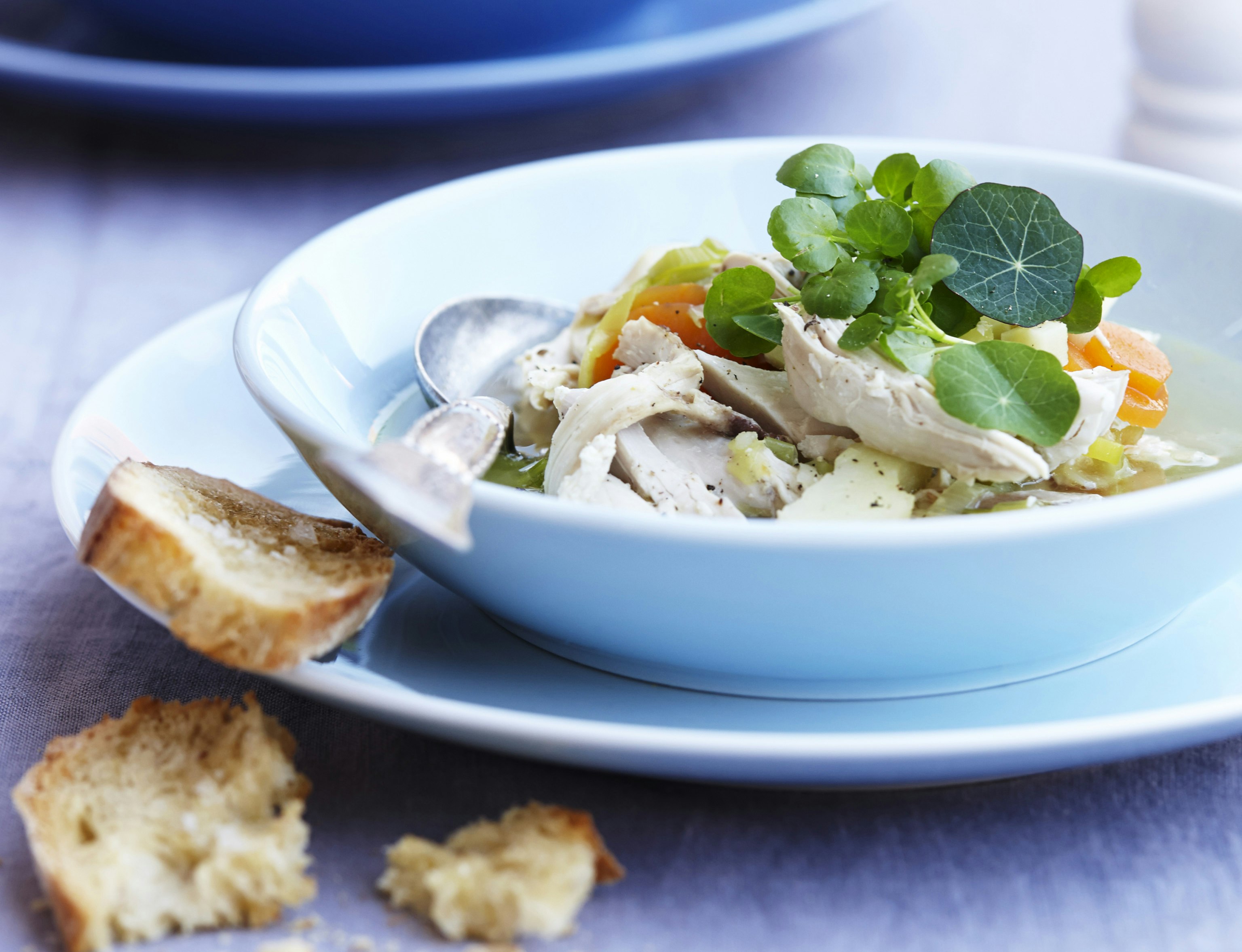 Hønsekødssuppe med kartofler