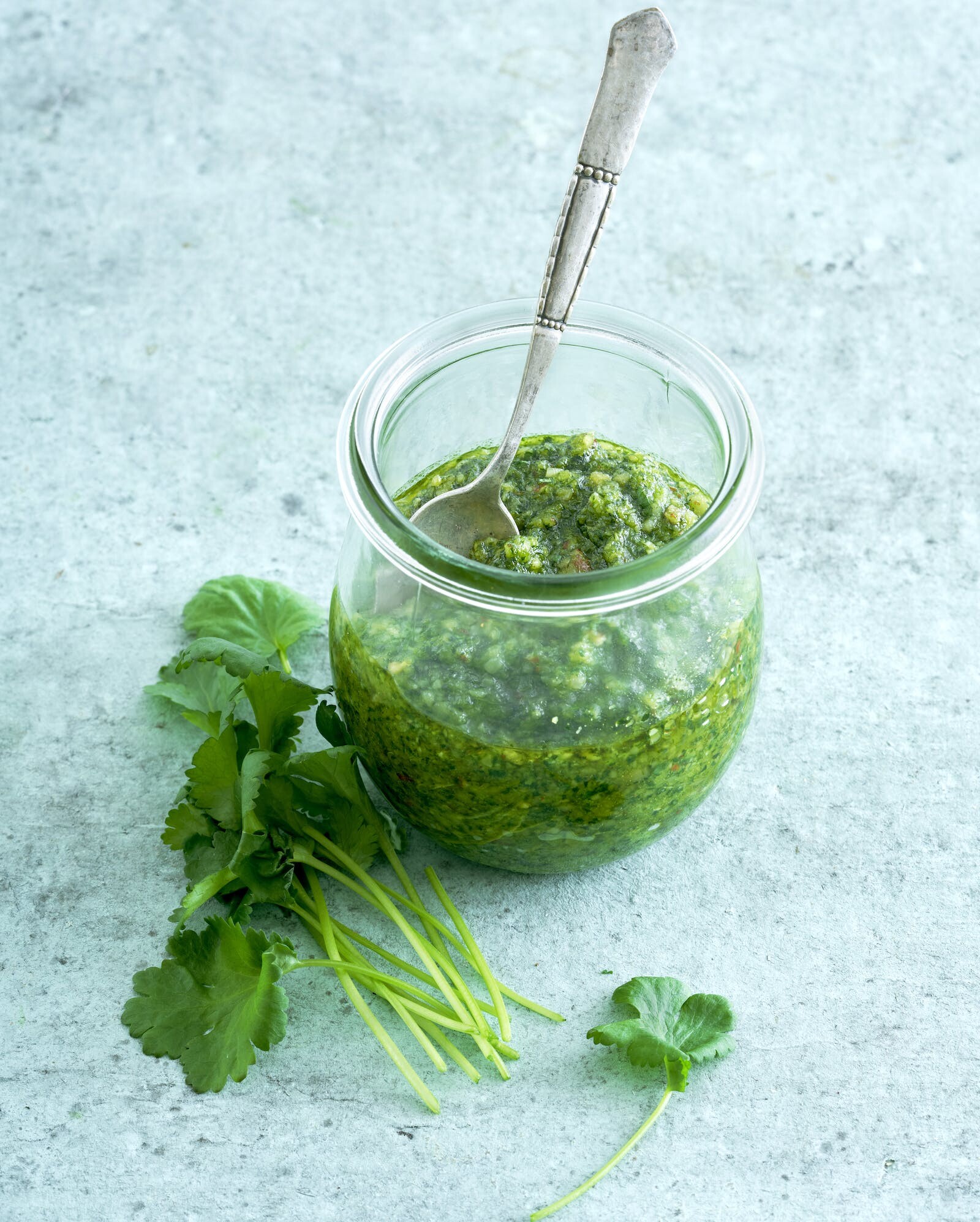 Korianderpesto – Opskrift på pesto med koriander | SPIS BEDRE Korianderpesto – Opskrift på pesto med koriander | SPIS BEDRE