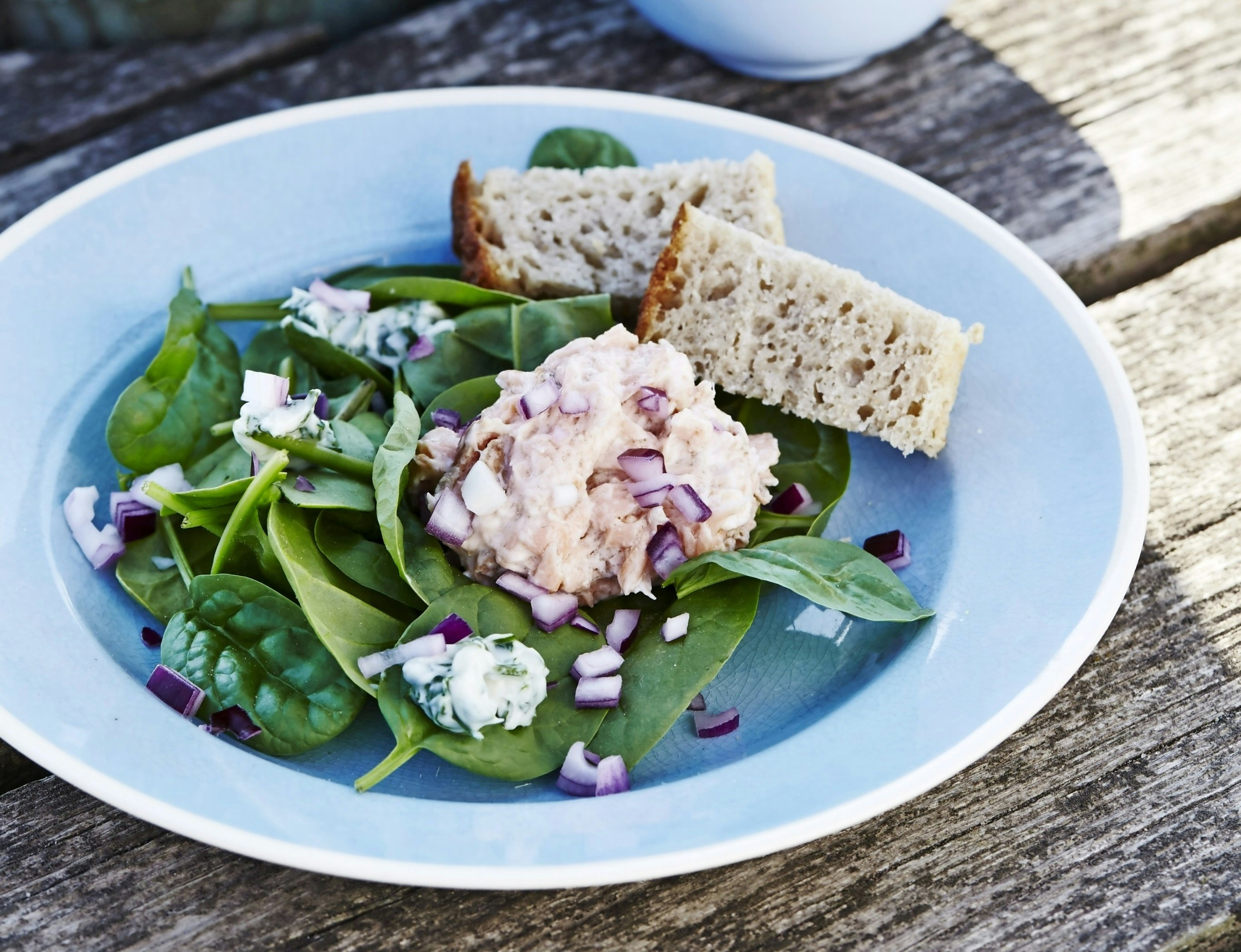 Mousse af varmrøget laks med agurkecreme