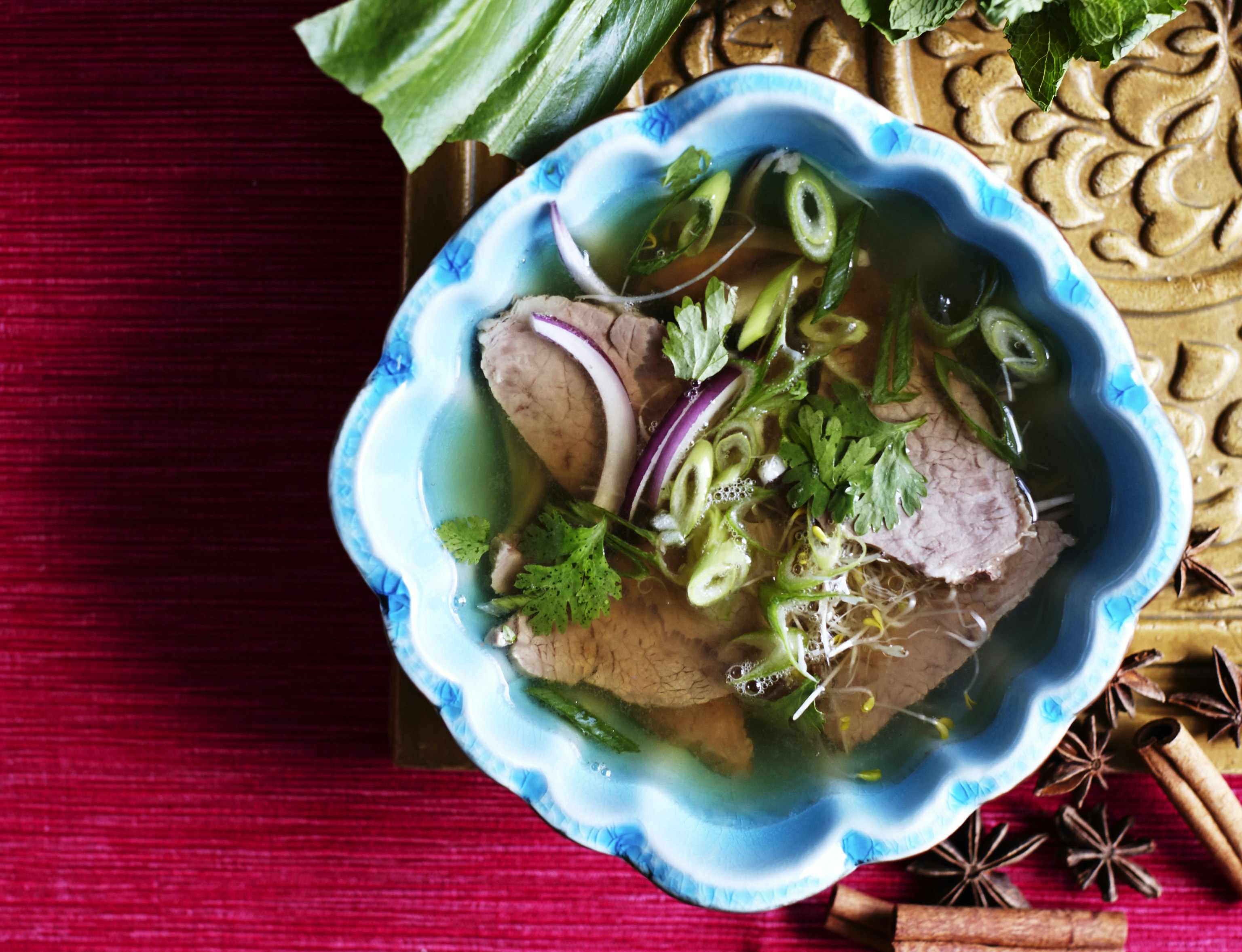 Pho-suppe med oksebryst og forårsløg