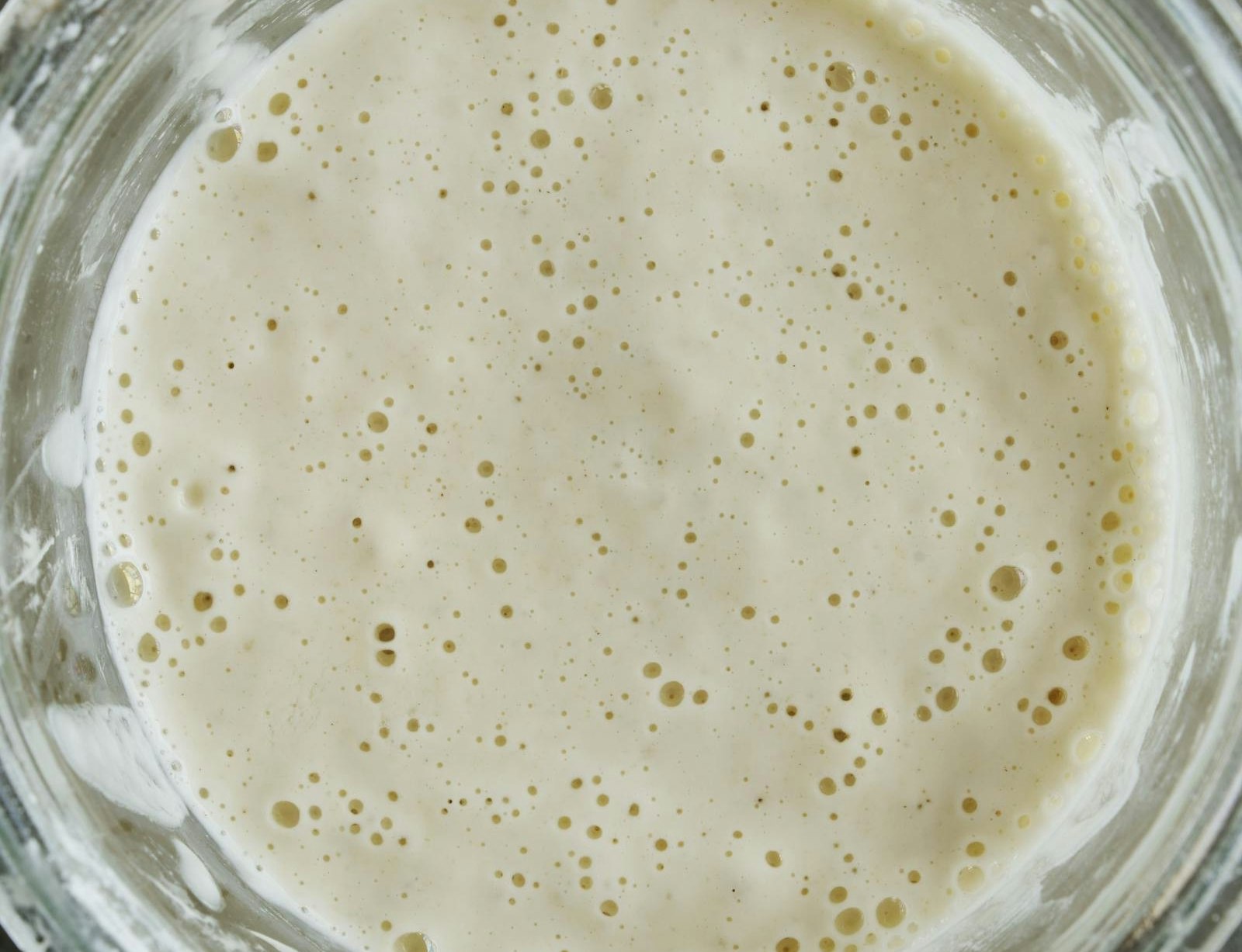 Start din egen surdej