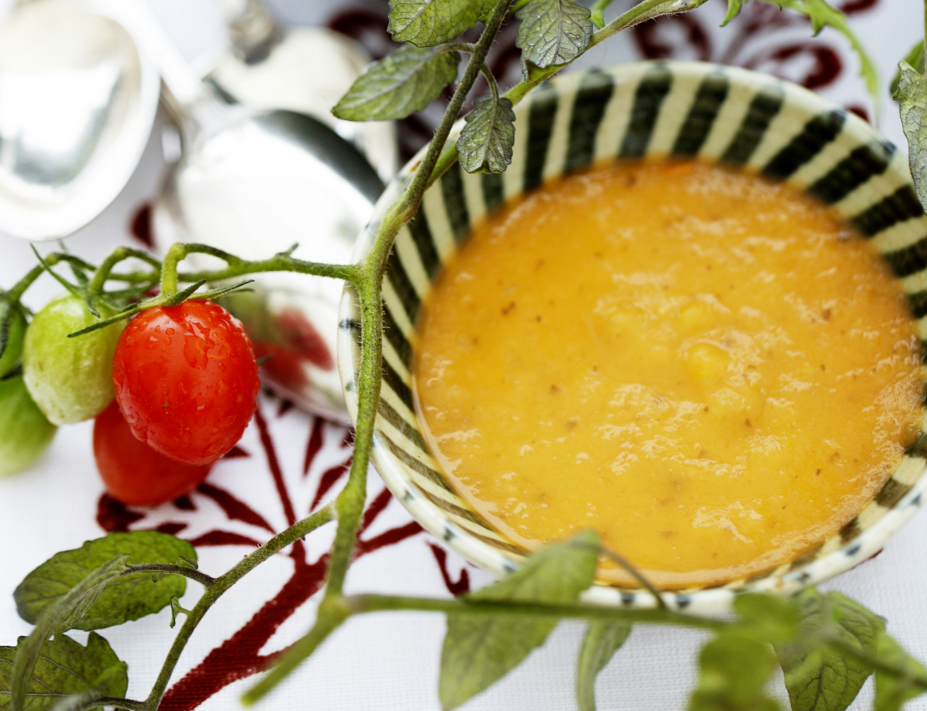 Tomatsuppe med fennikel og løg