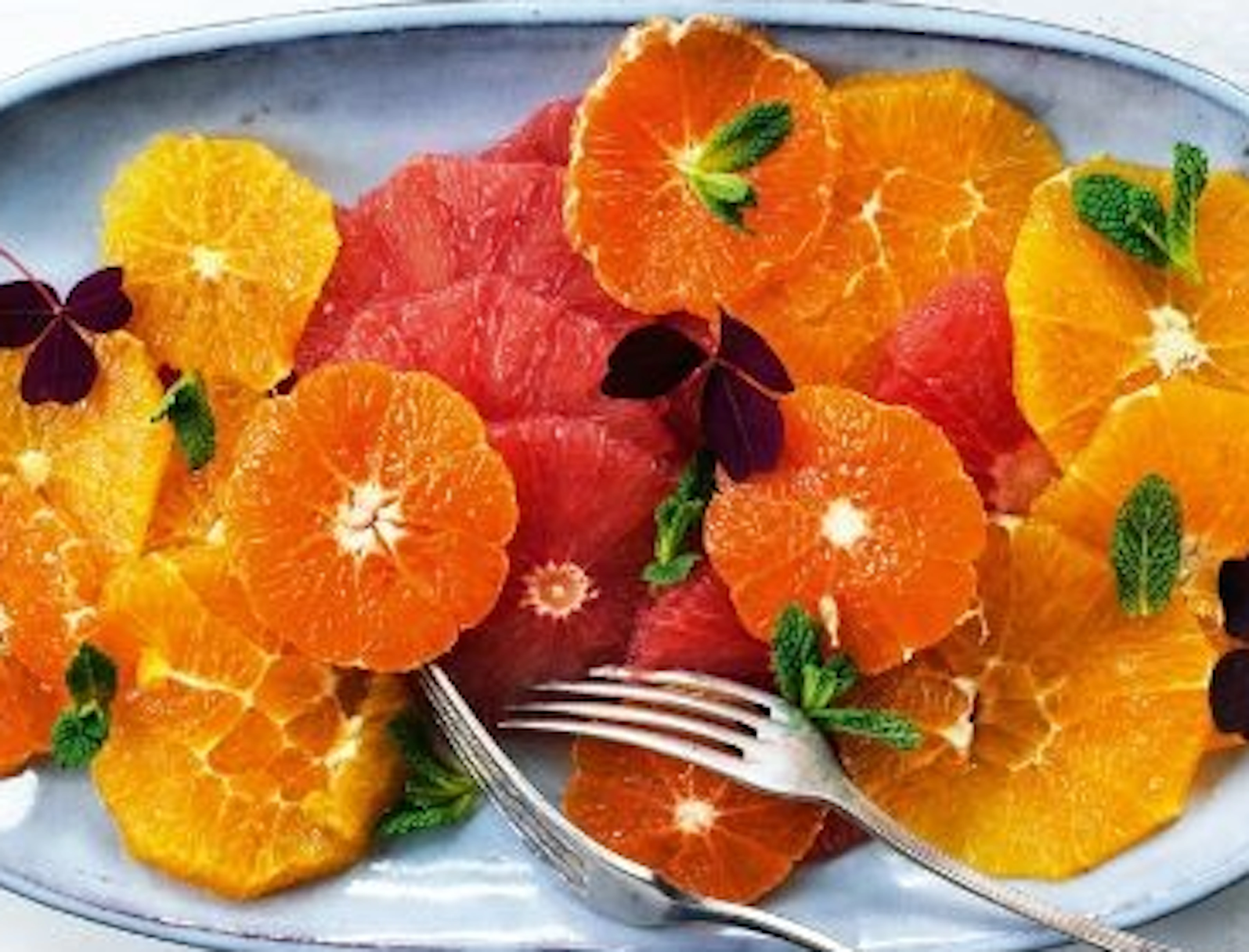 Friske opskrifter med appelsin | Kager, dessert og julemad | SPIS BEDRE